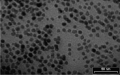 8-nm-rhodium-nanoparticles